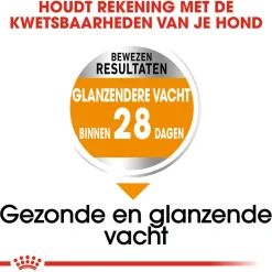 Royal Canin Mini Coat Care - Hondenvoer