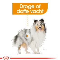 Royal Canin Mini Coat Care - Hondenvoer