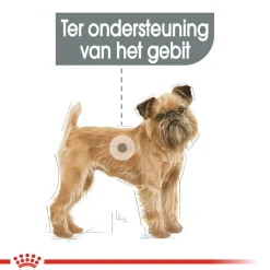 Royal Canin Mini Dental Care - Hondenvoer
