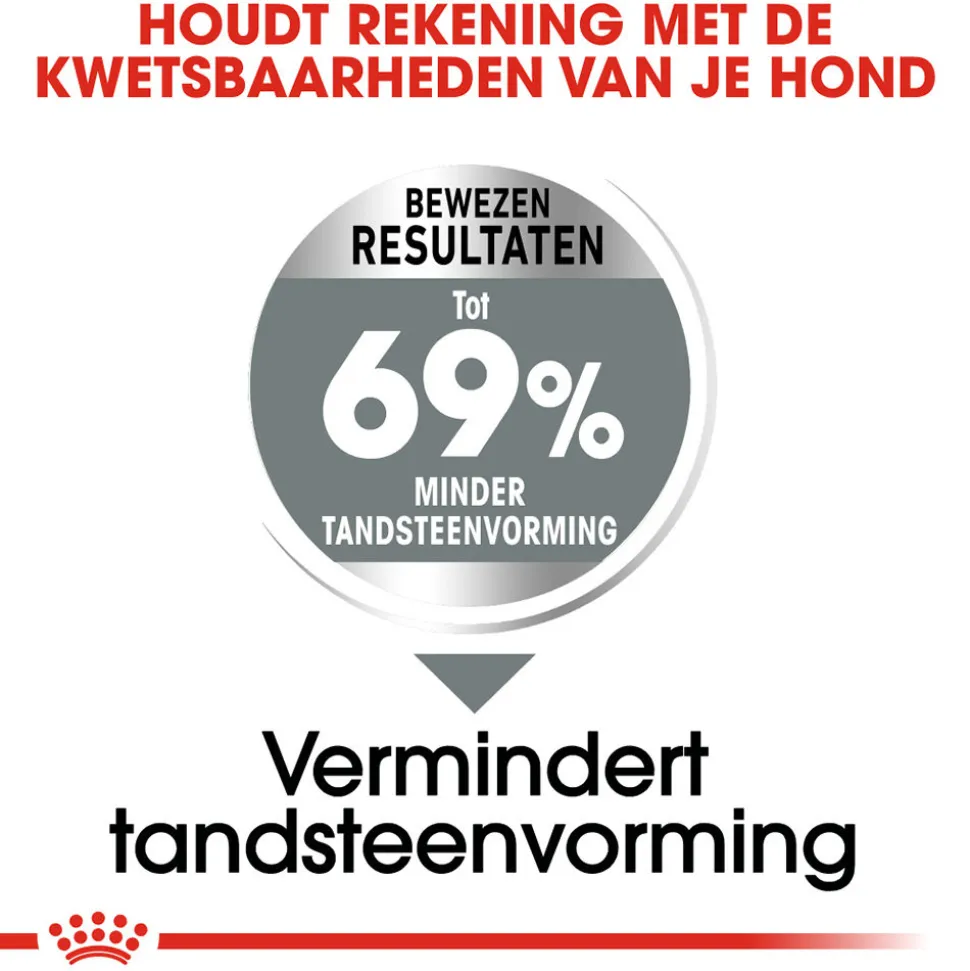 Royal Canin Mini Dental Care - Hondenvoer