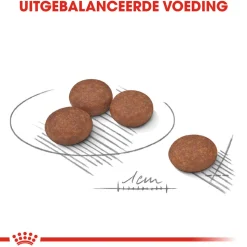 Royal Canin Mini Digestive Care - Hondenvoer