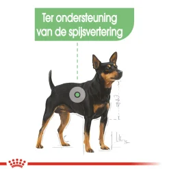 Royal Canin Mini Digestive Care - Hondenvoer