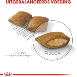 Royal Canin Mini Exigent - Hondenvoer