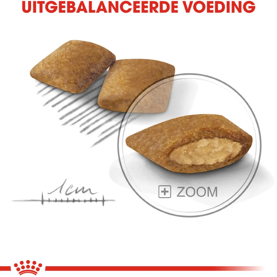 Royal Canin Mini Exigent - Hondenvoer
