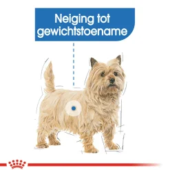 Royal Canin Mini Light Weight Care - Hondenvoer