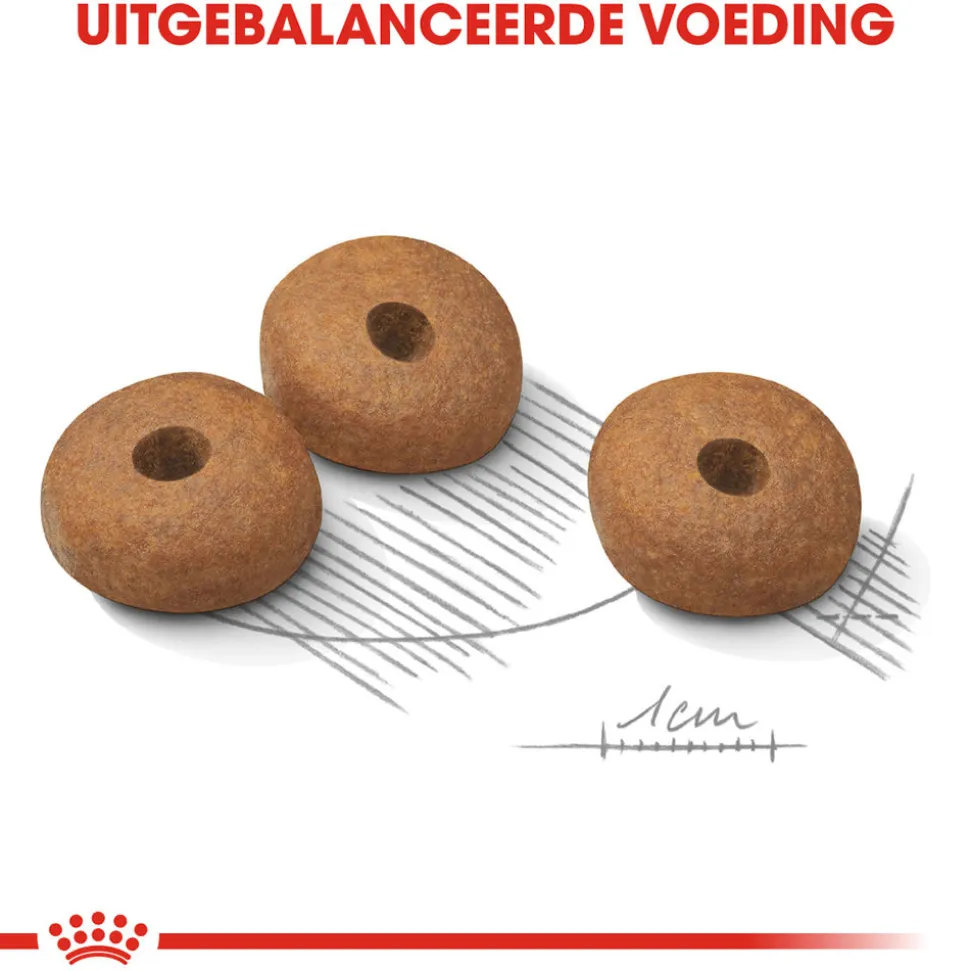 Royal Canin Mini Light Weight Care - Hondenvoer
