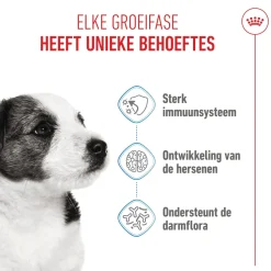 Royal Canin Mini Puppy - Hondenvoer