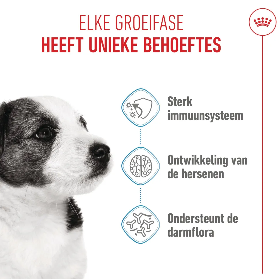 Royal Canin Mini Puppy - Hondenvoer