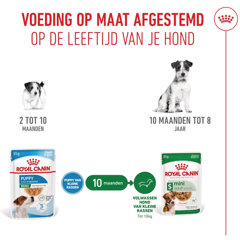 Royal Canin Mini Puppy Wet - Hondenvoer