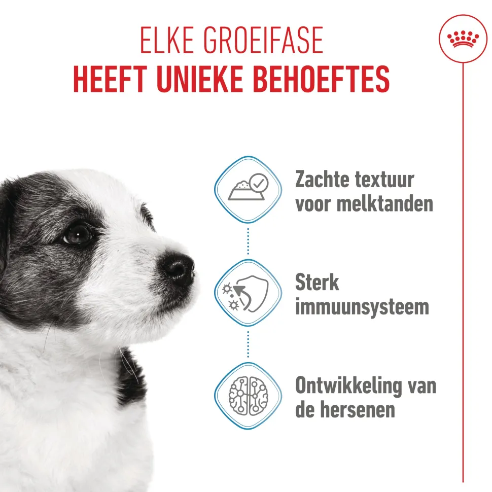 Royal Canin Mini Puppy Wet - Hondenvoer