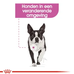 Royal Canin Mini Relax Care - Hondenvoer