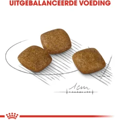 Royal Canin Mini Relax Care - Hondenvoer