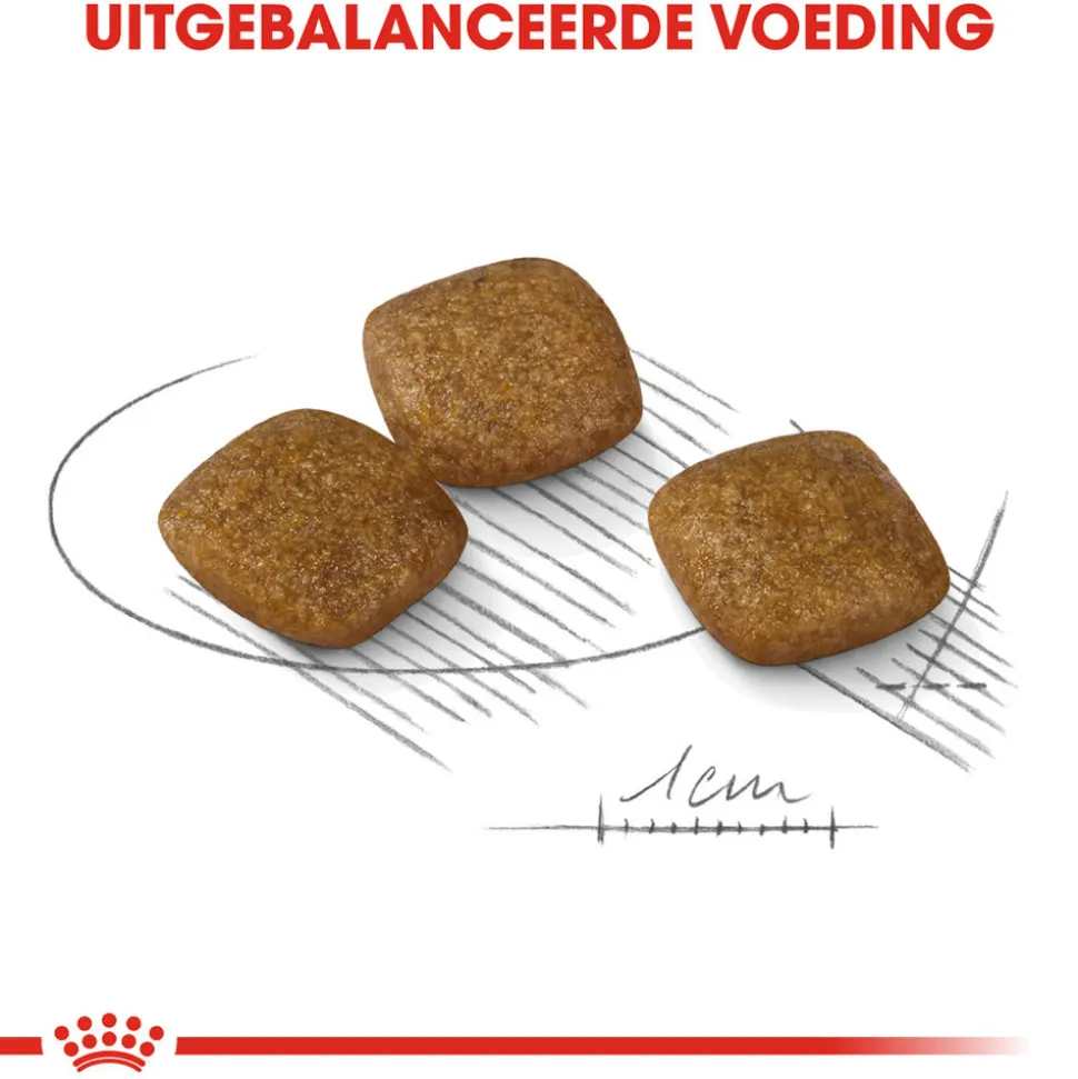 Royal Canin Mini Relax Care - Hondenvoer