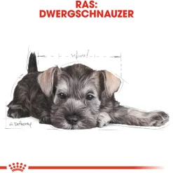 Royal Canin Mini Schnauzer Puppy - Hondenvoer