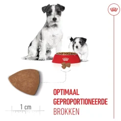 Royal Canin Mini Starter Mother & Babydog - Hondenvoer