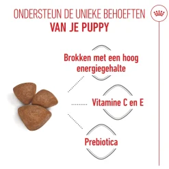 Royal Canin Mini Starter Mother & Babydog - Hondenvoer
