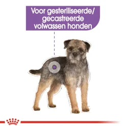 Royal Canin Mini Sterilised - Hondenvoer