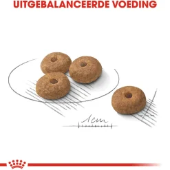 Royal Canin Mini Sterilised - Hondenvoer