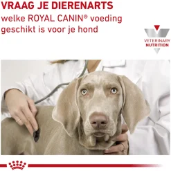 Royal Canin Mobility Support Hond