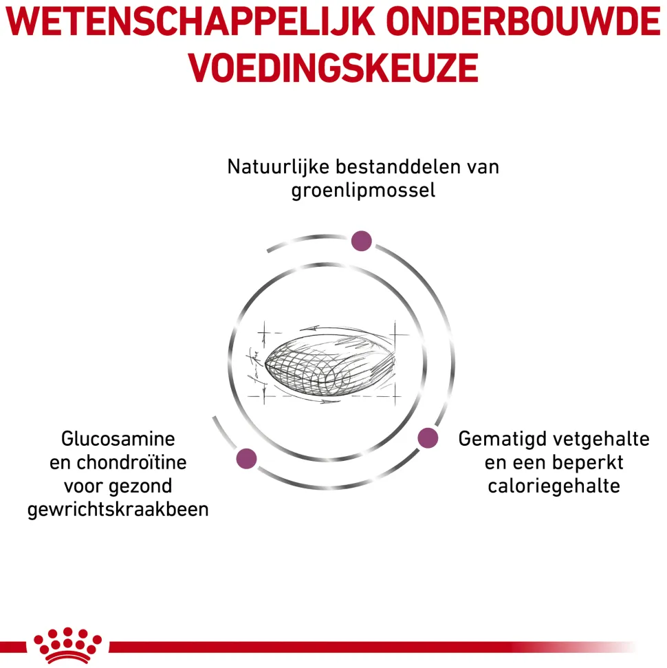 Royal Canin Mobility Support Hond