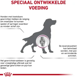 Royal Canin Mobility Support Hond