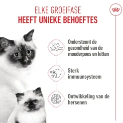 Royal Canin Mother & Babycat - Kattenvoer