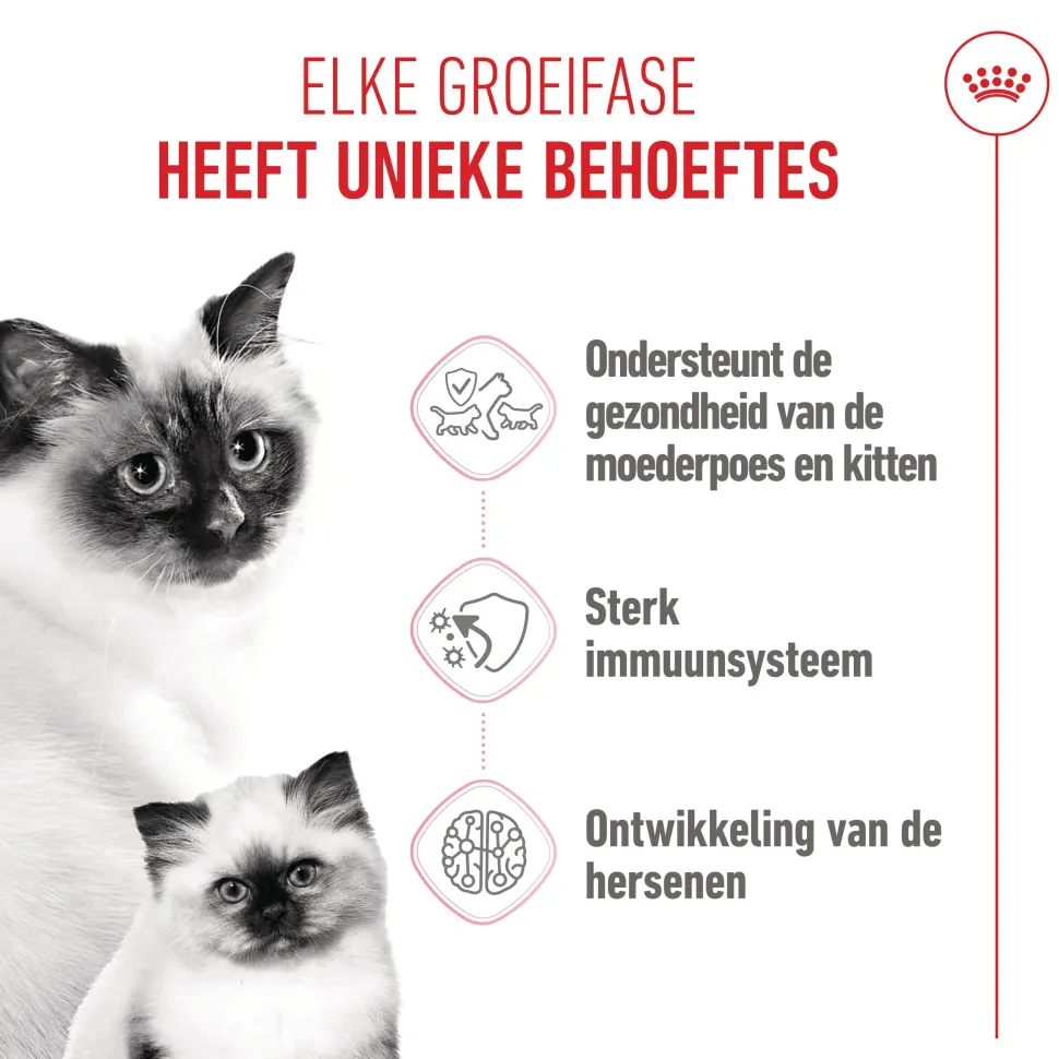 Royal Canin Mother & Babycat - Kattenvoer
