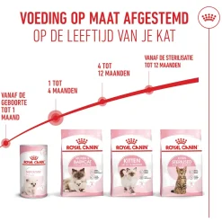 Royal Canin Mother & Babycat - Kattenvoer
