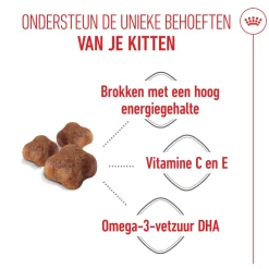 Royal Canin Mother & Babycat - Kattenvoer