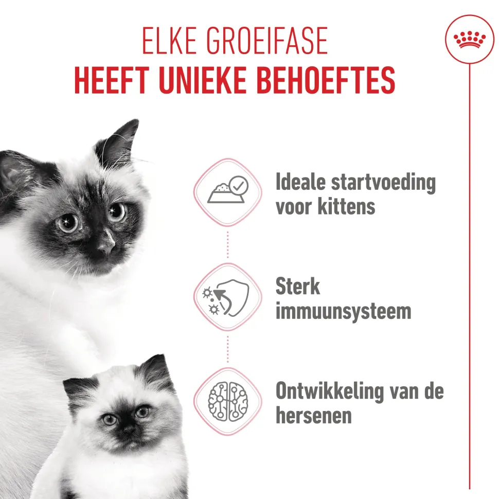 Royal Canin Mother & Babycat Mousse - Kattenvoer