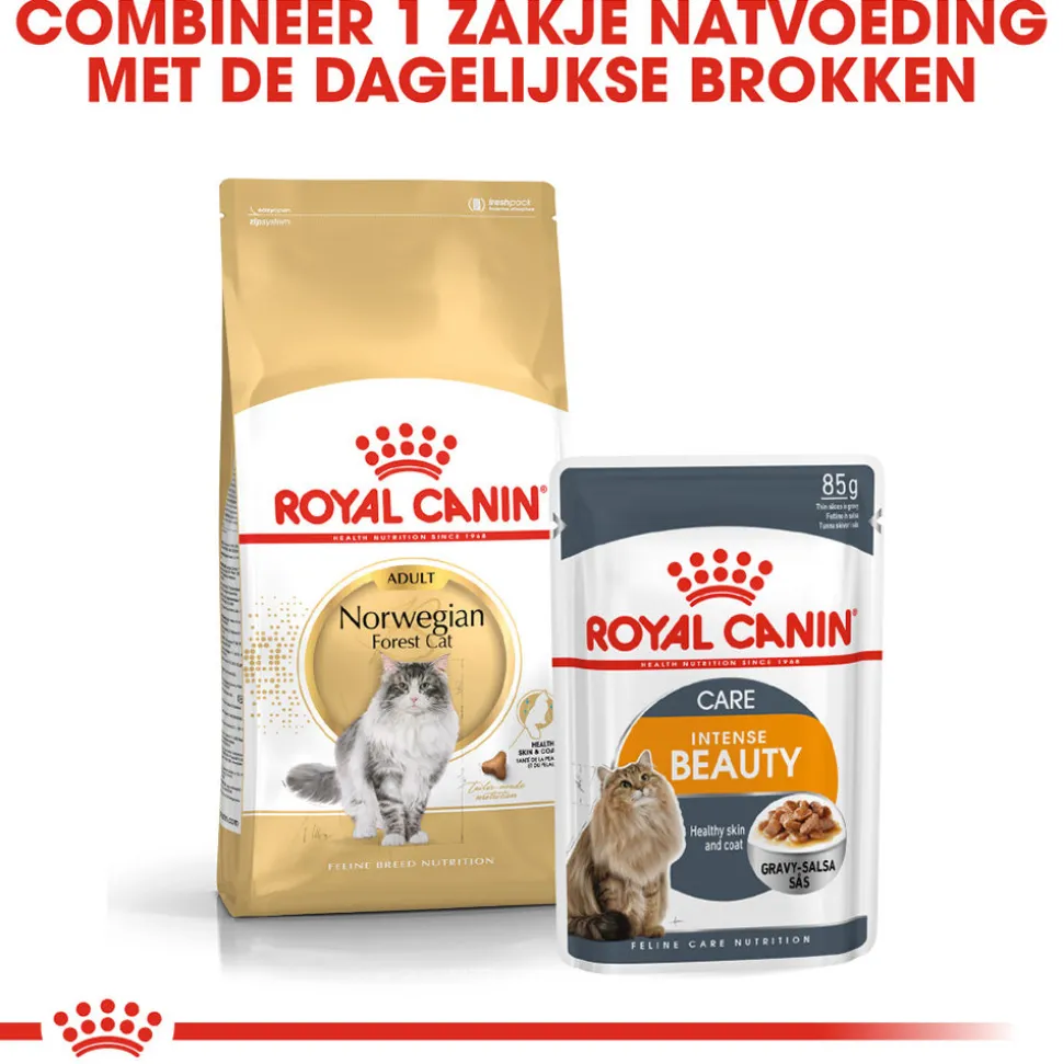 Royal Canin Norwegian Forest Cat Adult - Kattenvoer