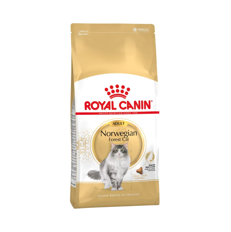 Royal Canin Norwegian Forest Cat Adult - Kattenvoer