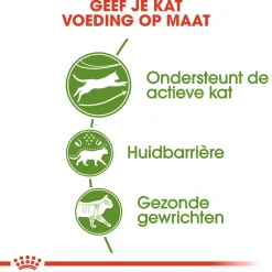 Royal Canin Outdoor - Kattenvoer