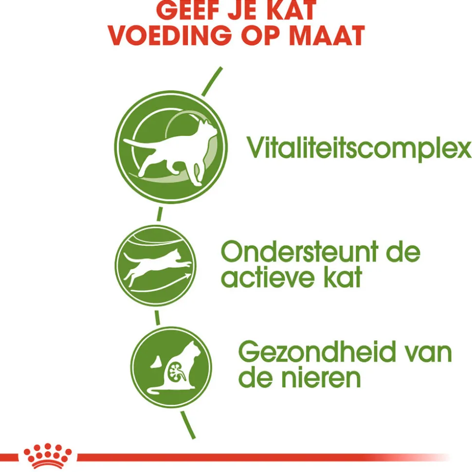 Royal Canin Outdoor 7+ - Kattenvoer