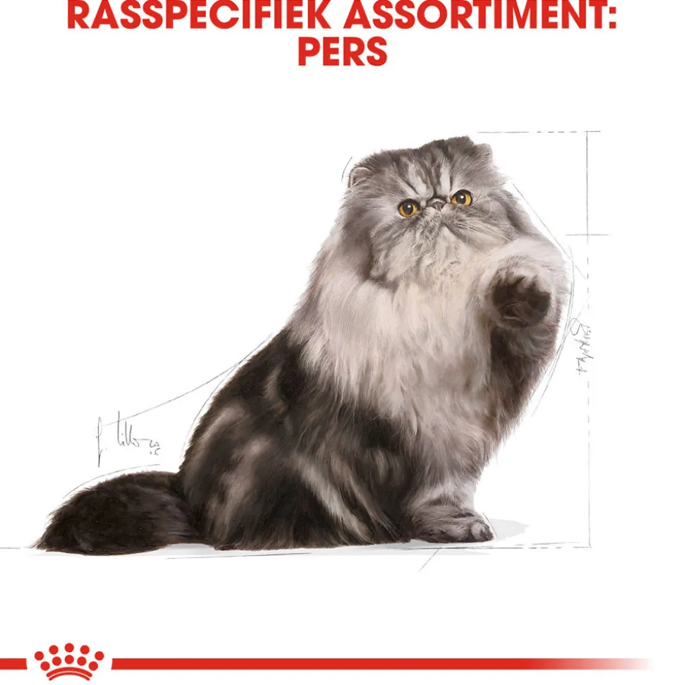 Royal Canin Persian Adult - Kattenvoer