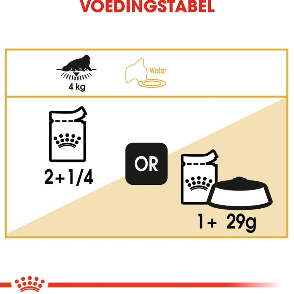 Royal Canin Persian Adult Wet - Kattenvoer