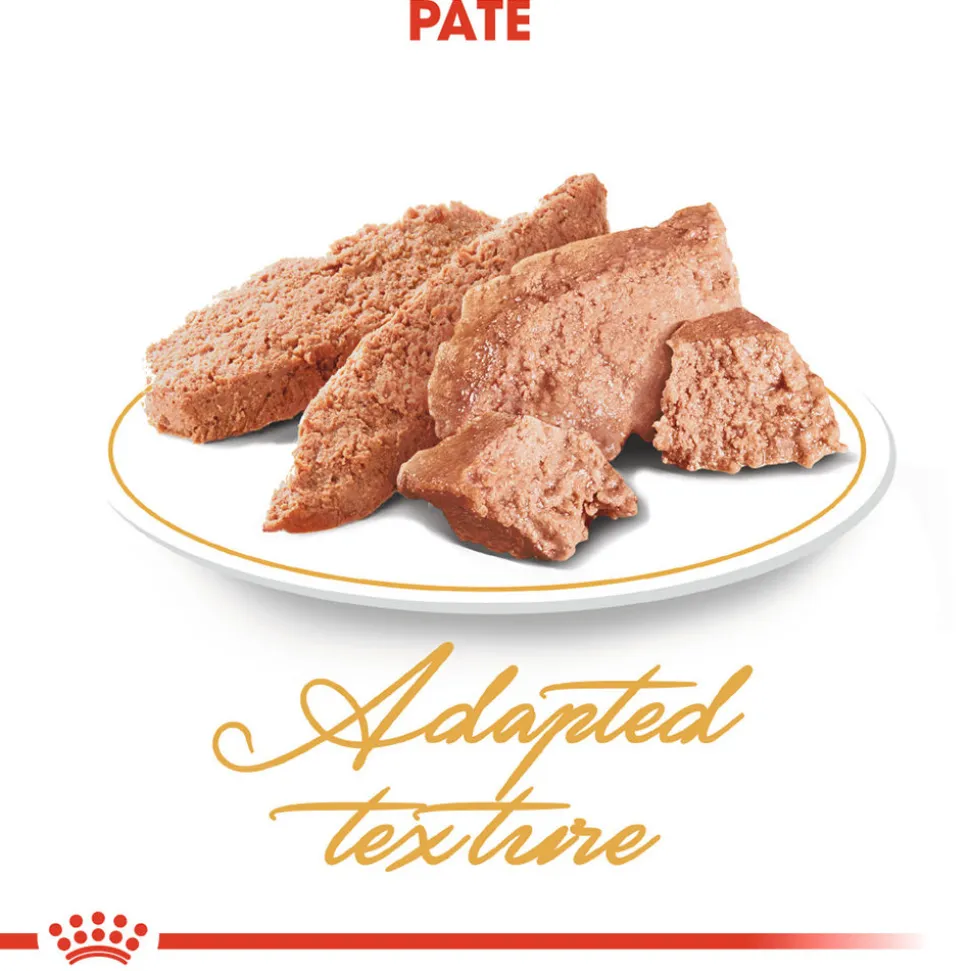 Royal Canin Persian Adult Wet - Kattenvoer