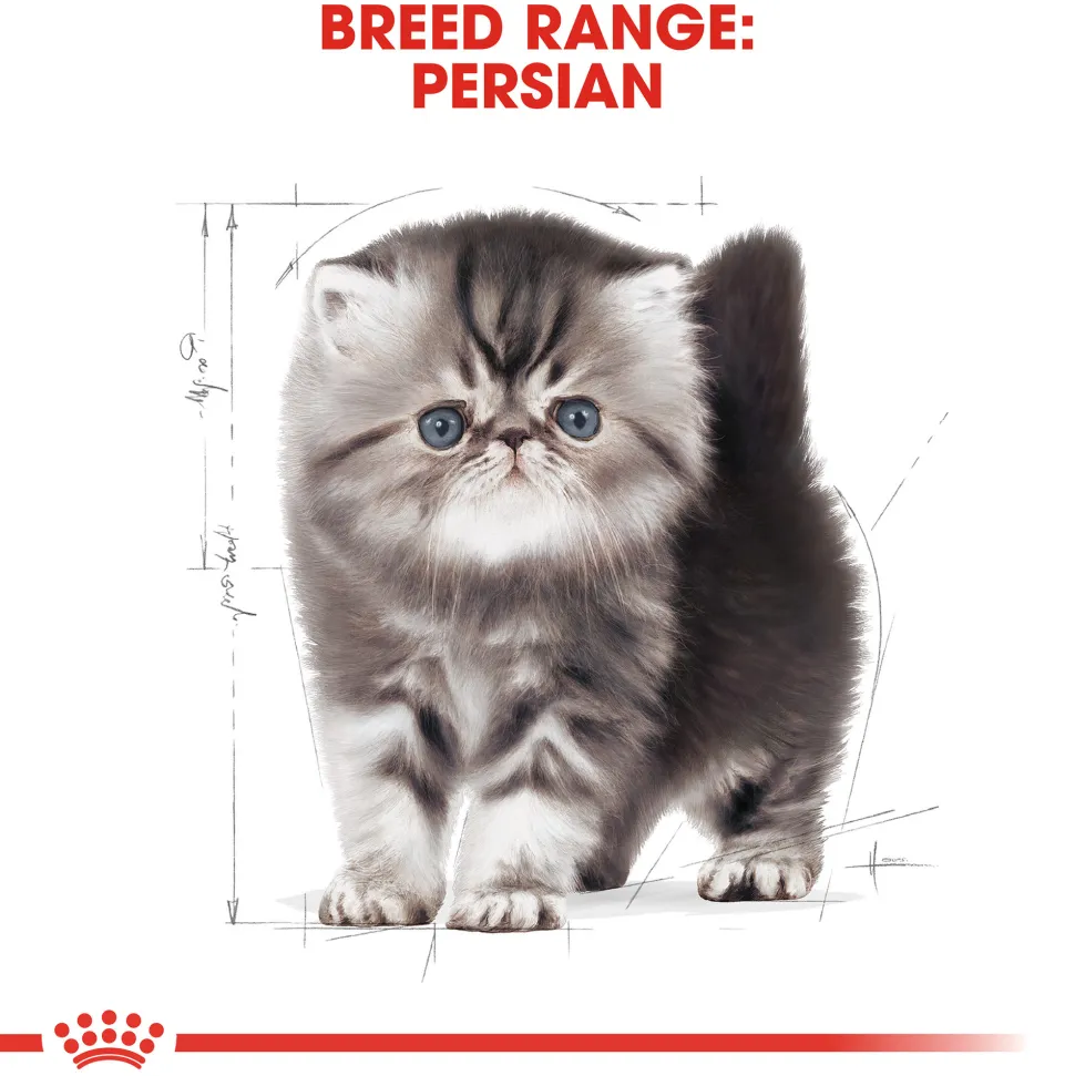 Royal Canin Persian Kitten - Kattenvoer