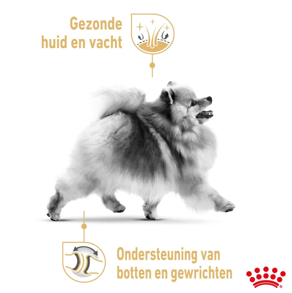Royal Canin Pomeranian Adult - Hondenvoer