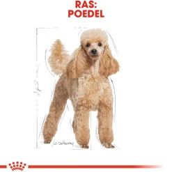 Royal Canin Poodle Adult - Hondenvoer
