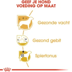 Royal Canin Poodle Adult - Hondenvoer