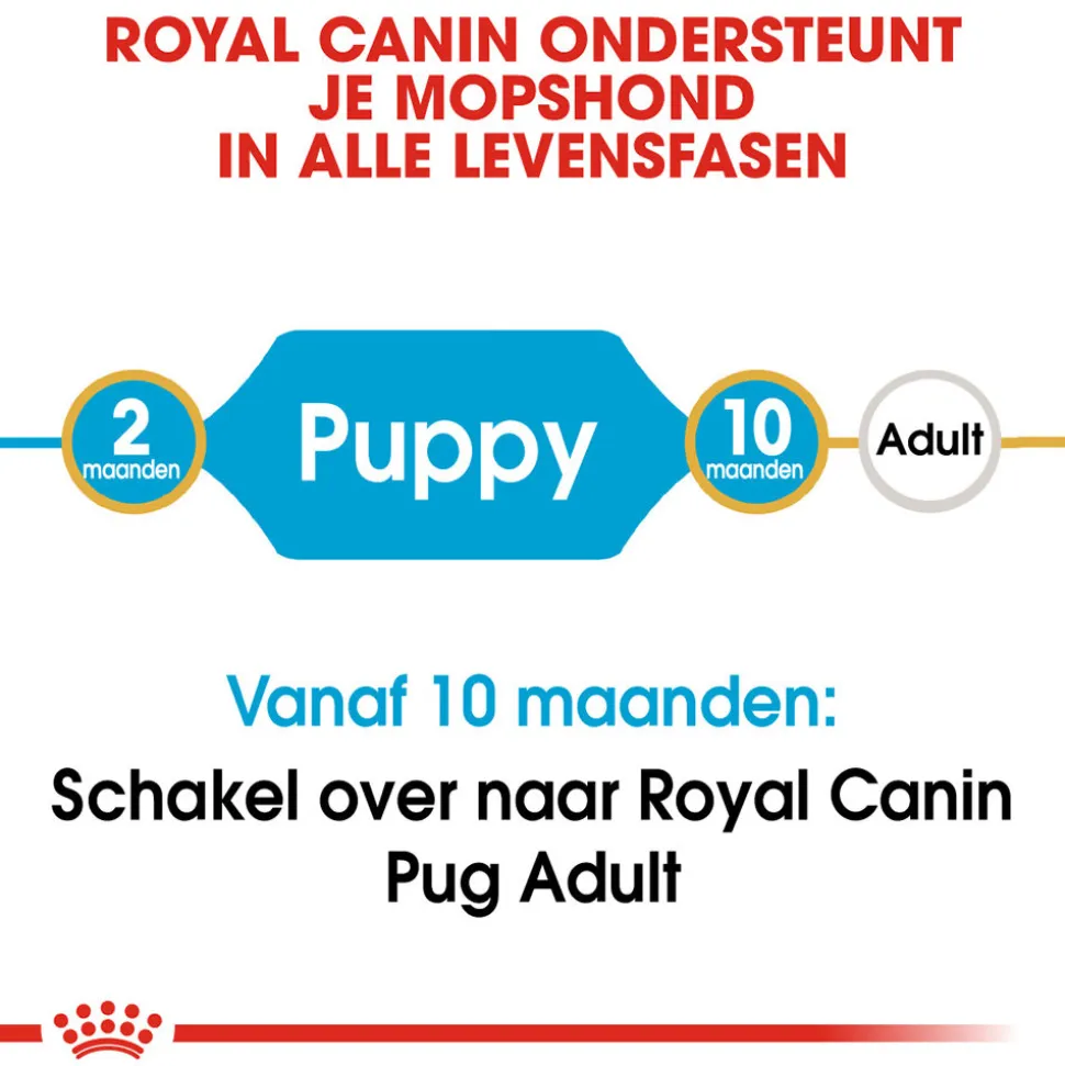 Royal Canin Pug Puppy - Hondenvoer