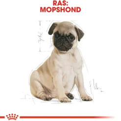 Royal Canin Pug Puppy - Hondenvoer
