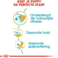 Royal Canin Pug Puppy - Hondenvoer