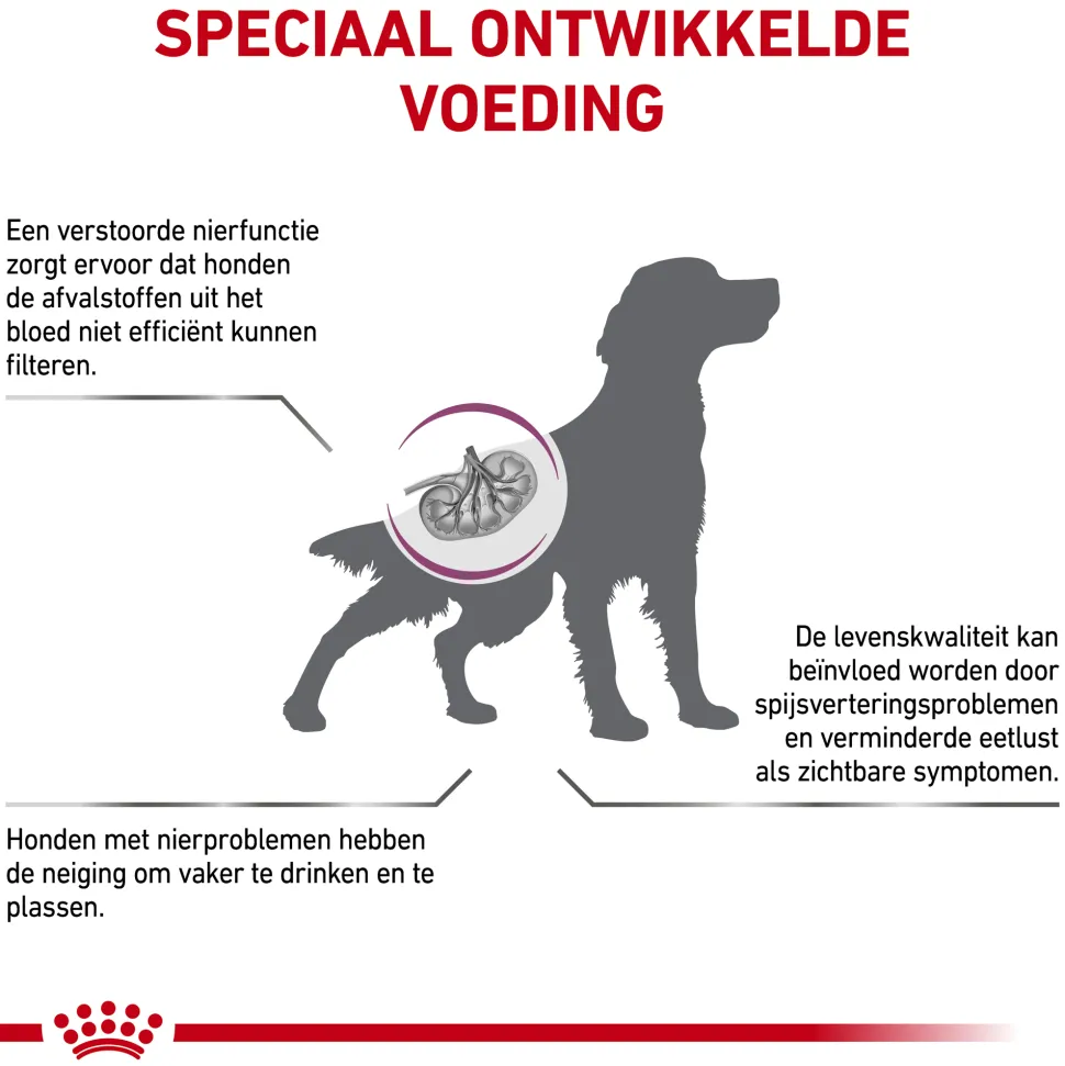 Royal Canin Renal Hond
