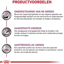 Royal Canin Renal Hond