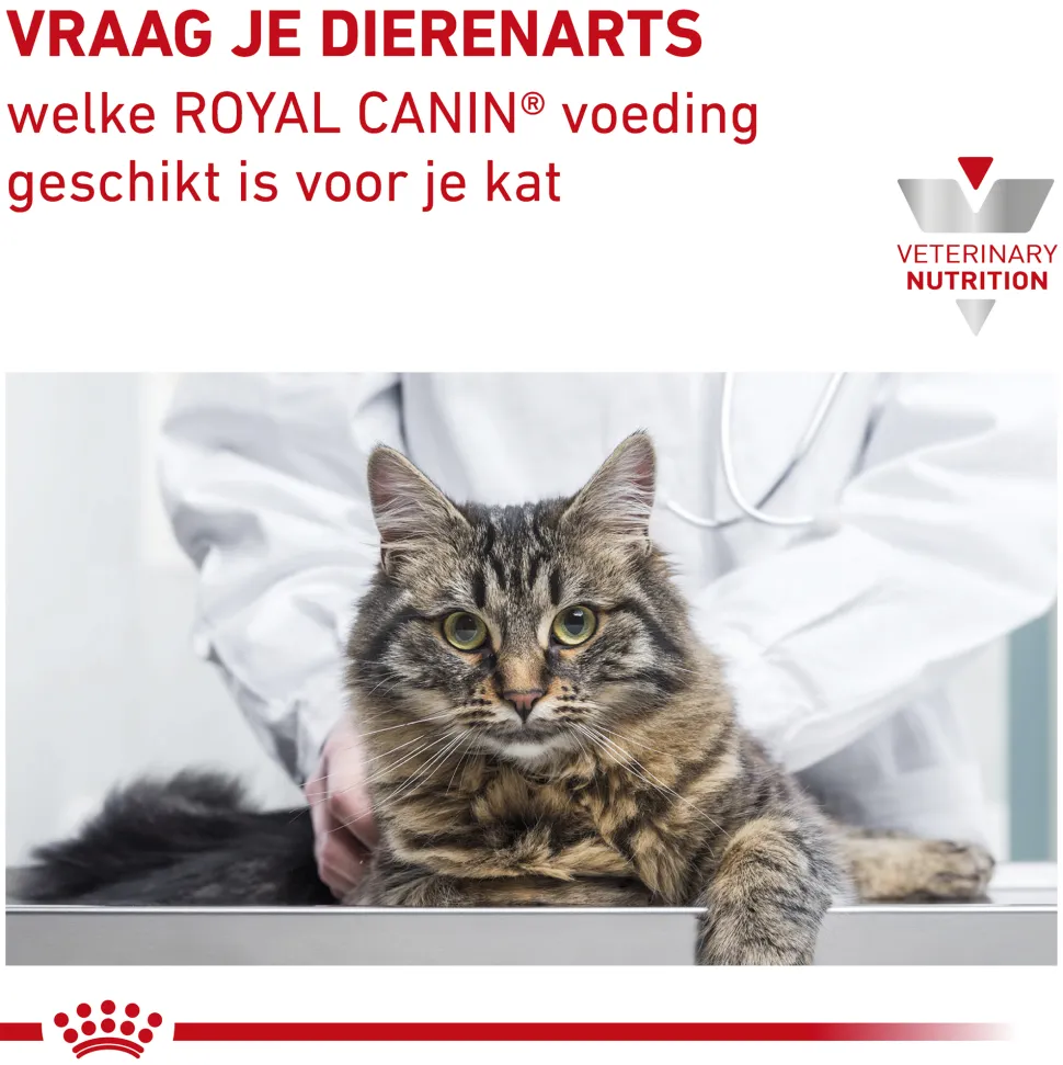 Royal Canin Renal Select Kat