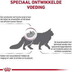 Royal Canin Renal Special Kat