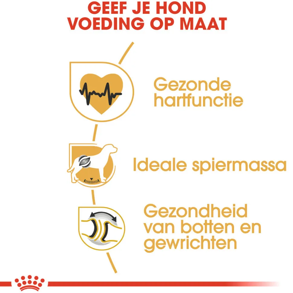 Royal Canin Rottweiler Adult - Hondenvoer