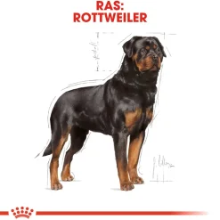 Royal Canin Rottweiler Adult - Hondenvoer